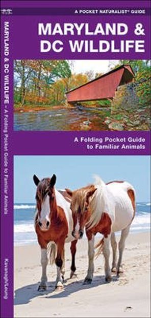 Maryland & DC Wildlife
