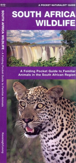 South Africa Wildlife