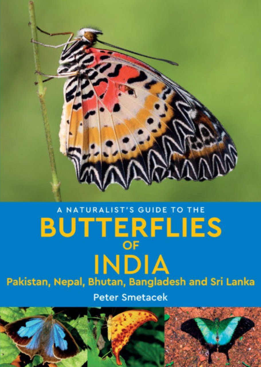 A Naturalist S Guide To The Butterflies Of India Pakistan