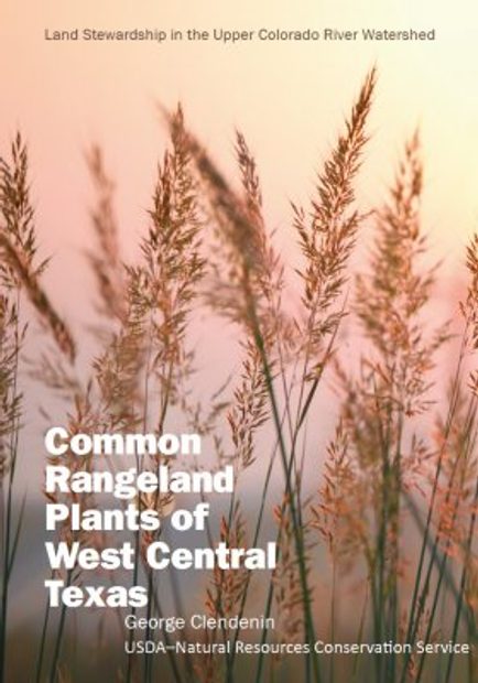 Common Rangeland Plants of West Central Texas