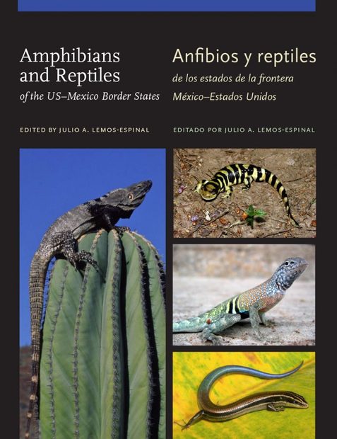 Amphibians and Reptiles of the US-Mexico Border States / Anfibios y Reptiles de Los Estados de la Frontera México-Estados Unidos