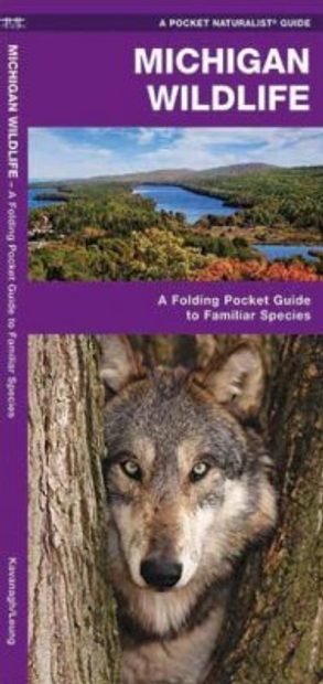 Michigan Wildlife