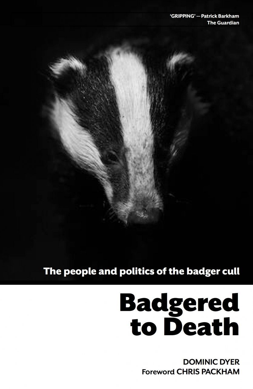 Badgered To Death The People And Politics Of The Badger