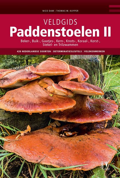 Veldgids Paddenstoelen II [Field Guide to Mushrooms II]