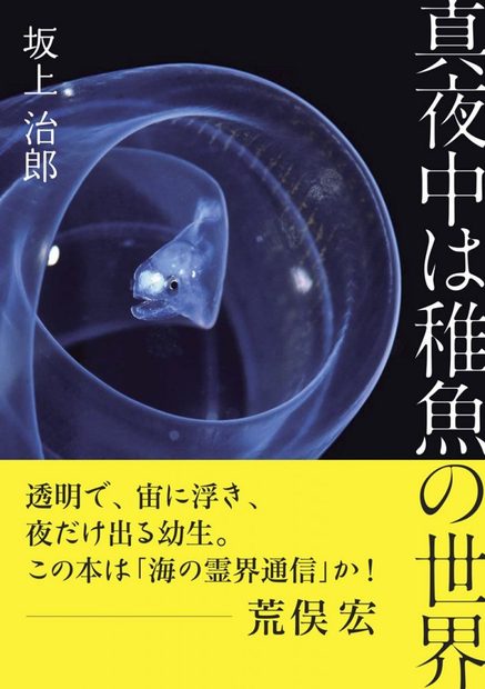 The Wonder World of Juvenile Fish [Japanese]