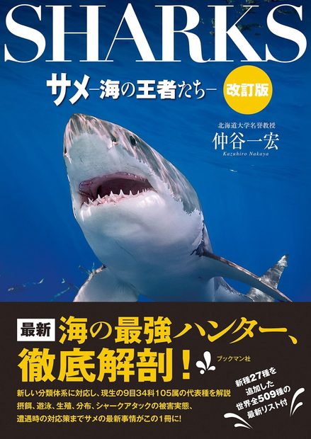 Sharks: Champion of the Sea [Japanese]