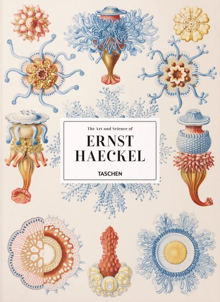 The Art and Science of Ernst Haeckel