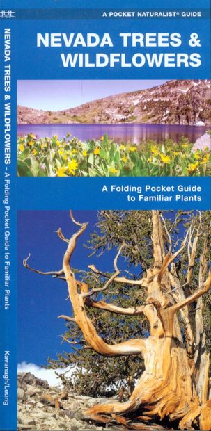 Nevada Trees & Wildflowers