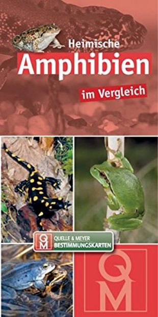 Heimische Amphibien im Vergleich [Domestic Amphibians Compared]