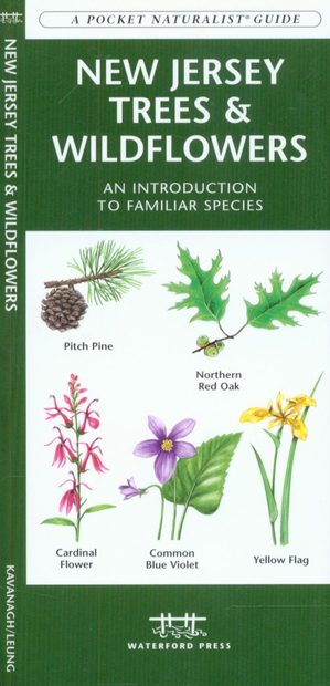 New Jersey Trees & Wildflowers: An Introduction to Familiar Species ...