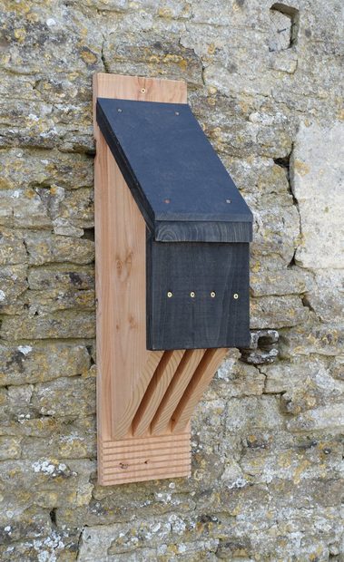 CJM Bat Box
