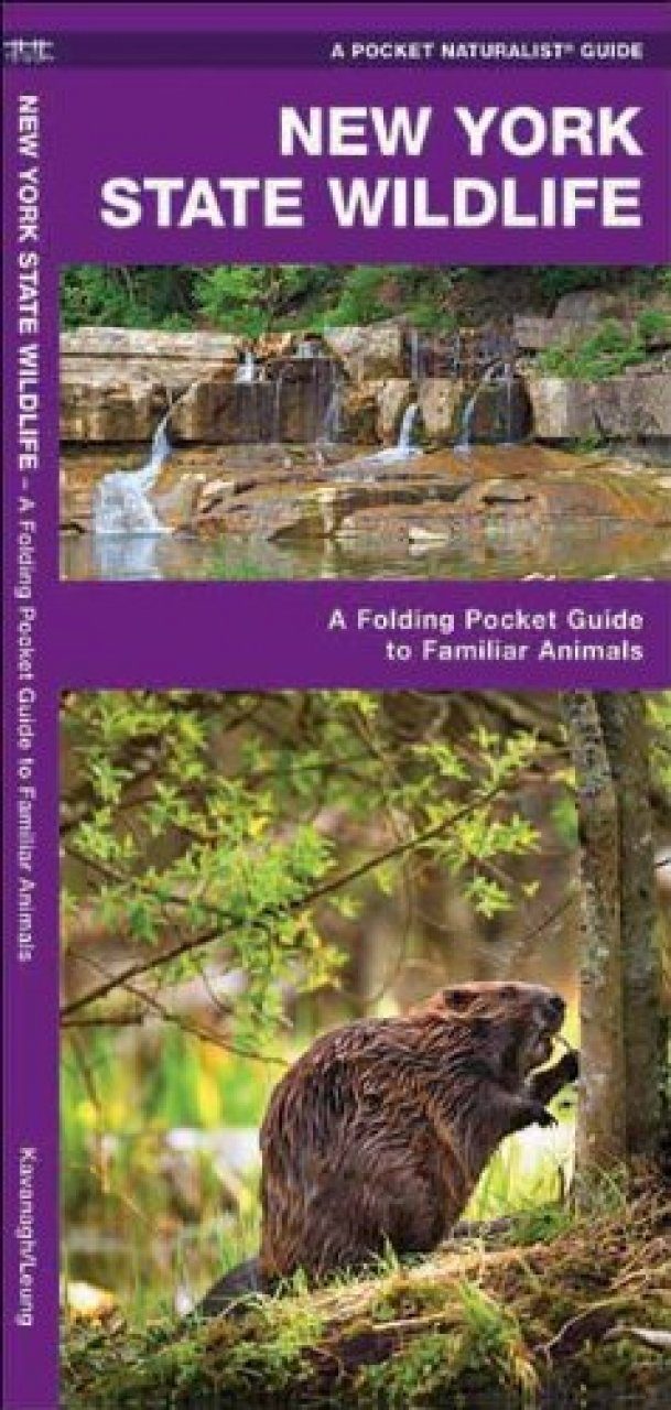 New York State Wildlife A Folding Pocket Guide To