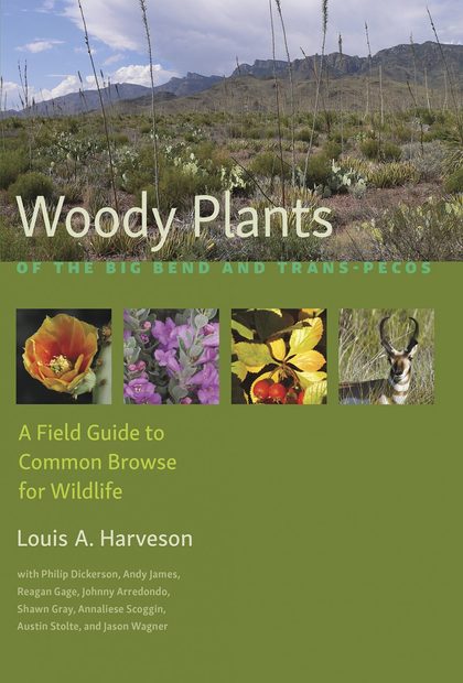 Woody Plants of the Big Bend and Trans-Pecos