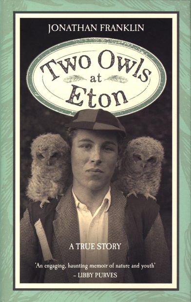 Two Owls at Eton