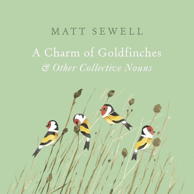A Charm of Goldfinches & Other Collective Nouns