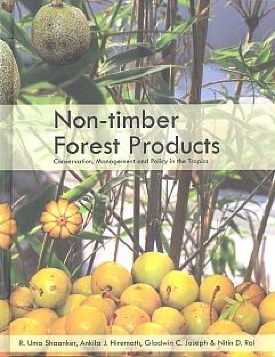 Non Timber Forest Products Conservation Management And Policy In The