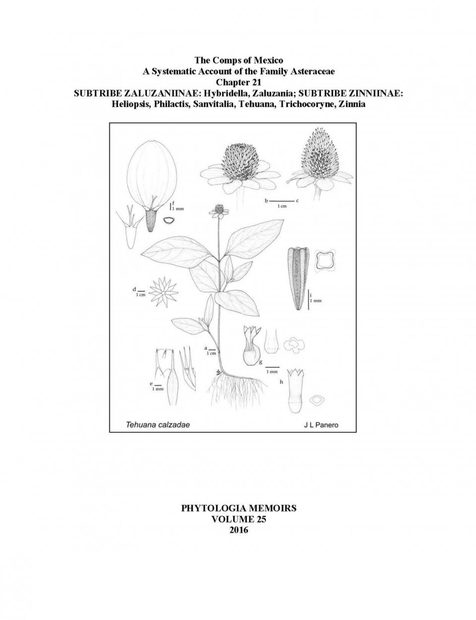 The Comps of Mexico: A Systematic Account of the Family Asteraceae, Chapter 21