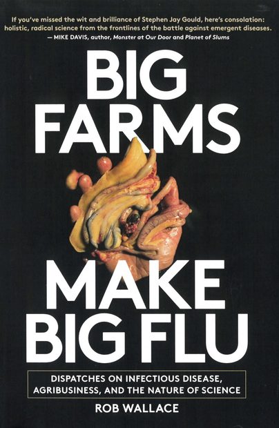 Big Farms Make Big Flu
