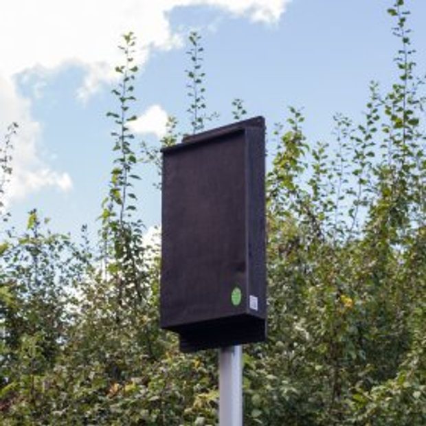Pole Mounted Maternity Bat Box