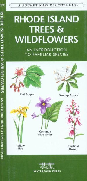 Rhode Island Trees & Wildflowers