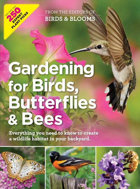 Gardening for Birds, Butterflies & Bees