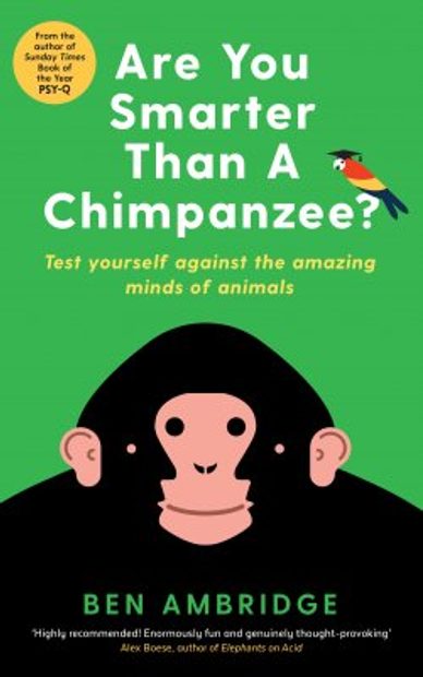 Are You Smarter Than a Chimpanzee?