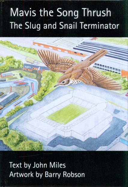 Mavis the Songthrush