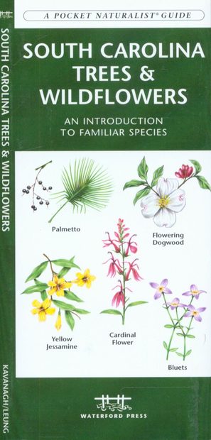 South Carolina Trees & Wildflowers