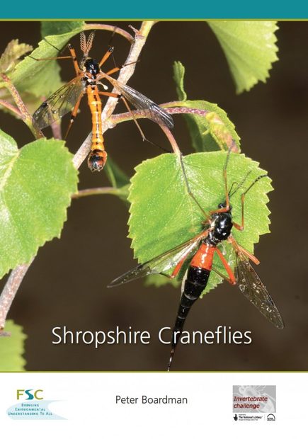 Shropshire Craneflies
