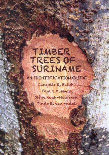 Timber Trees of Suriname