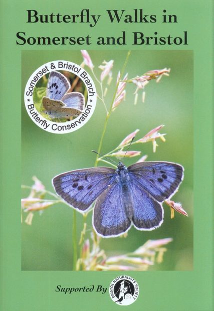 Butterfly Walks in Somerset and Bristol