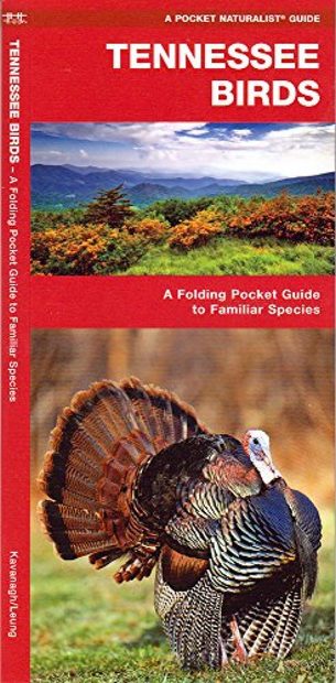 Tennessee Birds