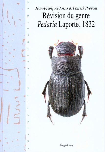 Révision du Genre Pedaria Laporte, 1832 [Revision of the Genus Pedaria]