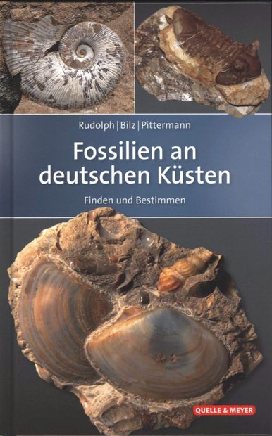 Fossilien an Deutschen Küsten: Finden und Bestimmen [Fossils of Germany's Coasts: Finding and Identifying]
