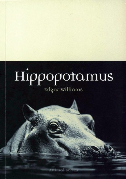 Hippopotamus