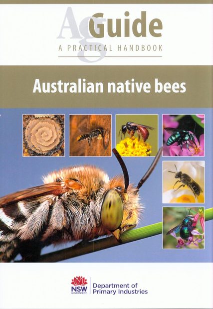Australian Native Bees