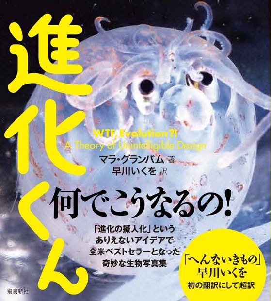 WTF, Evolution?!: A Theory of Unintelligible Design [Japanese]