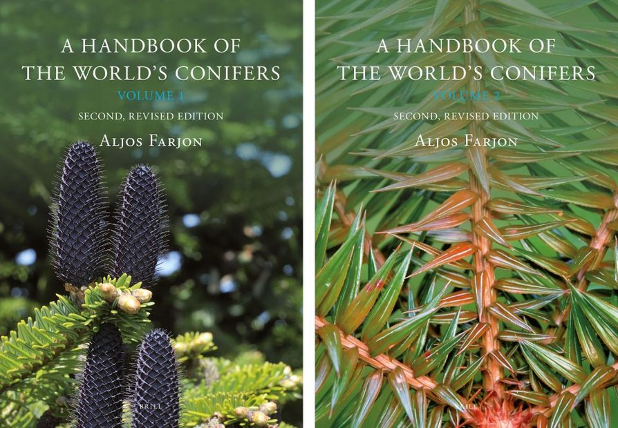 A Handbook of the World's Conifers (2-Volume Set)