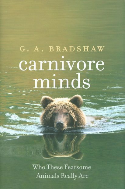 Carnivore Minds