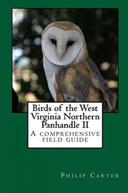 Birds of the West Virginia Northern Panhandle II