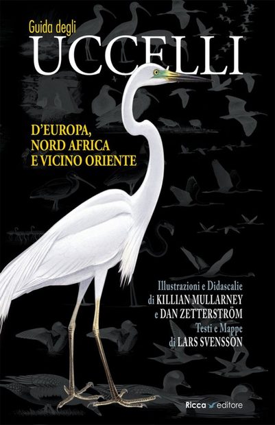 Guida degli Uccelli d'Europa, Nord Africa e Vicino Oriente: Formato Grande [Collins Bird Guide: Large Format]