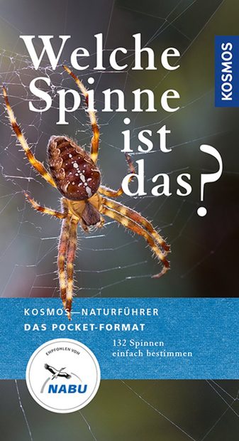 Welche Spinne ist Das?: 132 Spinnen Einfach Bestimmen [Which Spider is That?: Easily Identifying 132 Spiders]