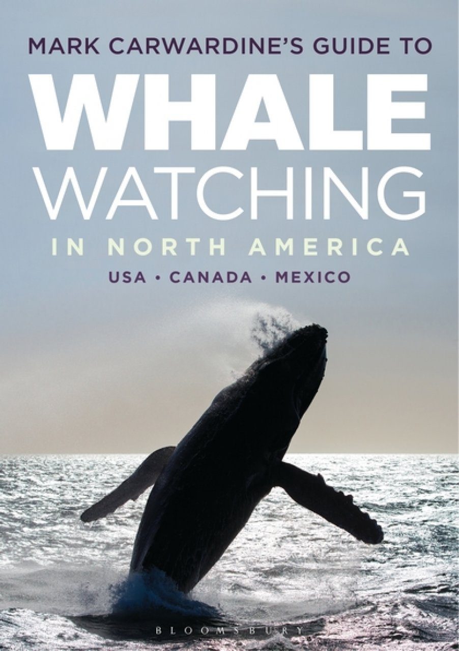 Mark Carwardine S Guide To Whale Watching In North America