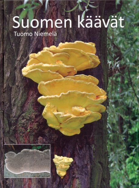 Suomen Käävät [Finnish Polypores]