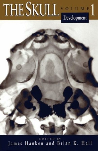 The Skull, Volume 1: Development