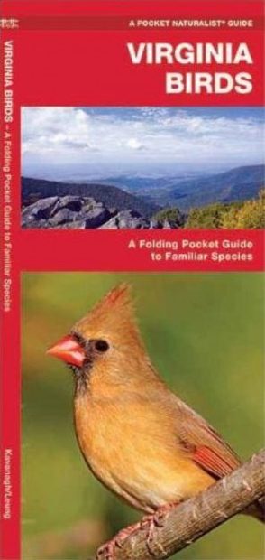 Virginia Birds