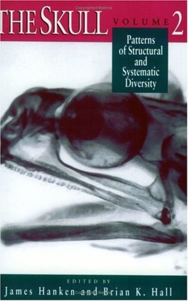The Skull, Volume 2: Patterns of Structural and Systematic Diversity