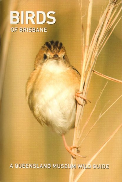 Birds of Brisbane