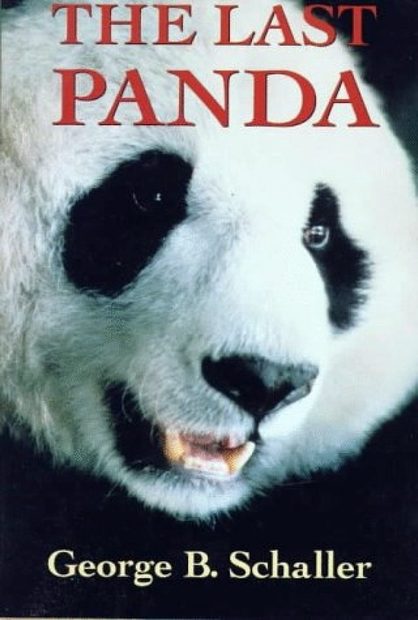 The Last Panda