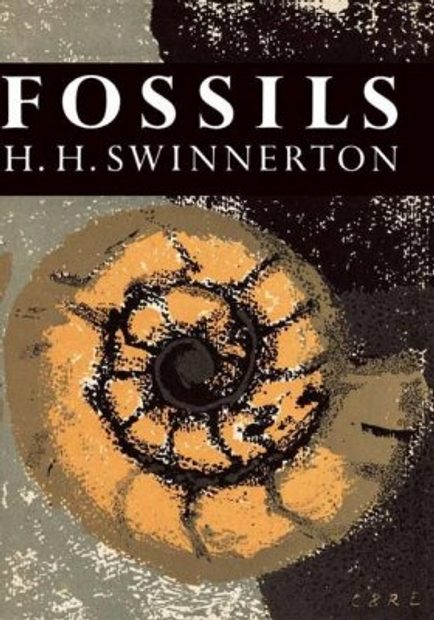 Fossils